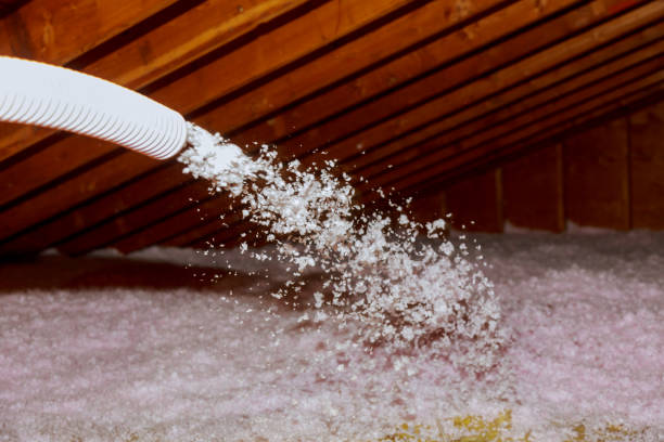 Best Energy Efficiency Insulation in Morton Grove, IL