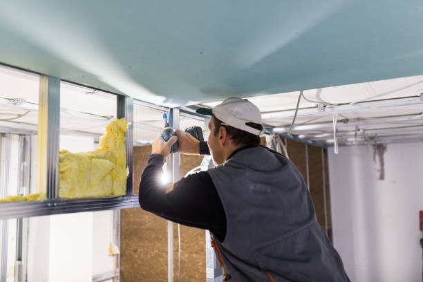 Best Specialized Insulation Services in Morton Grove, IL