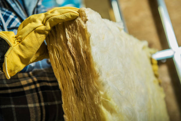 Best Insulation Maintenance and Repair in Morton Grove, IL