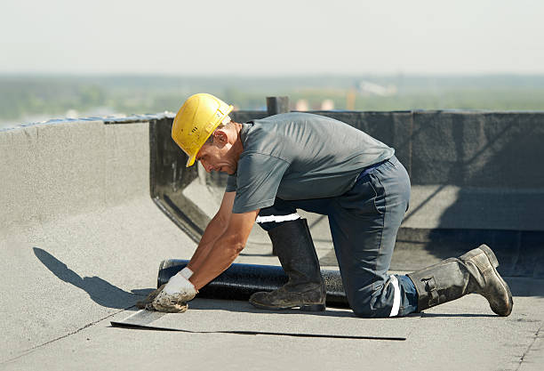 Best Geographic-Specific Insulation Services in Morton Grove, IL