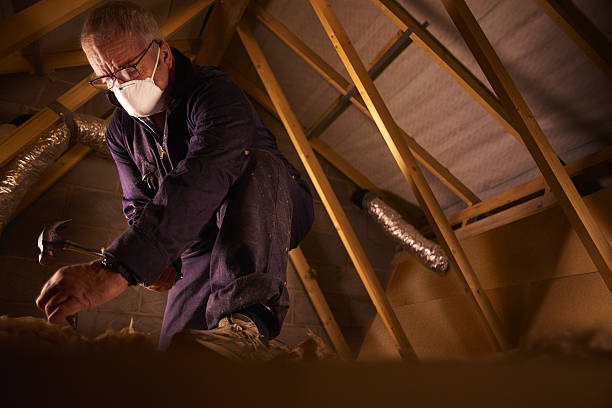 Types of Insulation We Offer in Morton Grove, IL